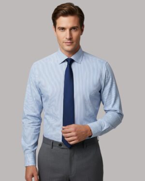 Dress Shirts_Blue Stripes